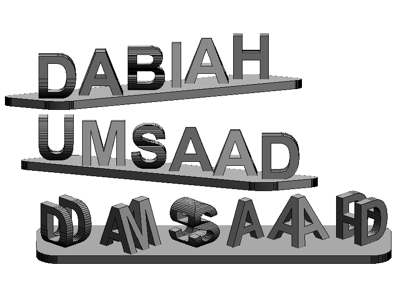 Dual Text Illusion