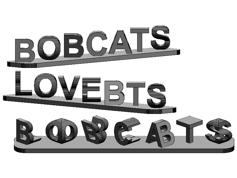 Dual Text Illusion