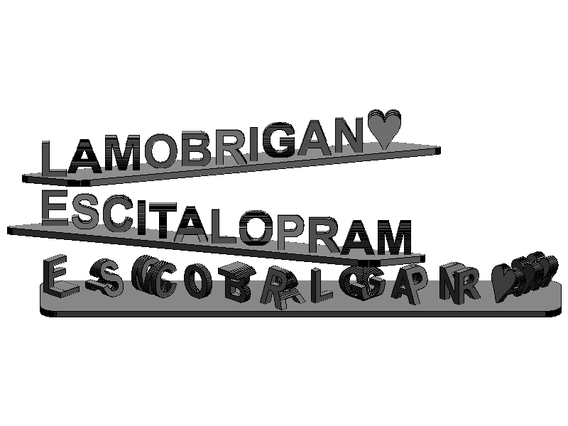 Dual Text Illusion